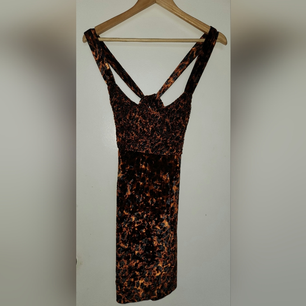 Velvet leopard mini dress